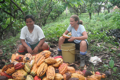 Cacao, Gina and friend